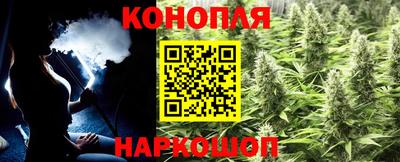 гидра Ярославль