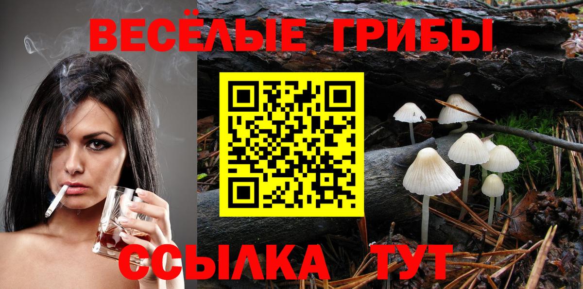Анжеро-Судженск  Галлюциногенные грибы мухоморы  где продают   Вход с VPN 